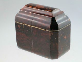 Antique 19th Century Faux Tortoiseshell Tea Caddy Circa 1820 7