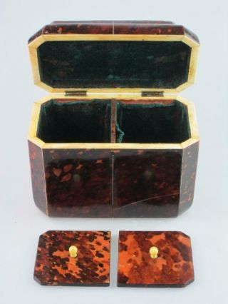 Antique 19th Century Faux Tortoiseshell Tea Caddy Circa 1820 9