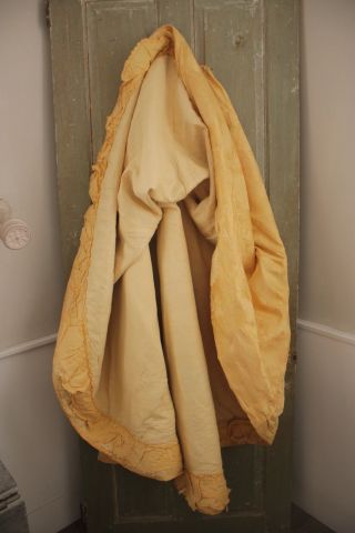 Gold Skirt Silk French Victorian 1850 Yellow Feather Plume Pattern 29 inch waist 6