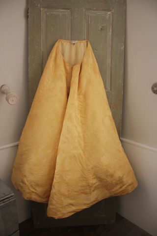 Gold Skirt Silk French Victorian 1850 Yellow Feather Plume Pattern 29 inch waist 8