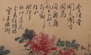 Fine Old Chinese Hand - painting Painting Scroll Wu Junqin Marked - peony 6