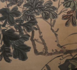 Fine Old Chinese Hand - painting Painting Scroll Wu Junqin Marked - peony 9