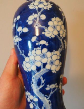 FINE OLD ANTIQUE CHINESE ASIAN ART BLUE & WHITE PRUNUS PATTERN KANGXI VASE & LID 10