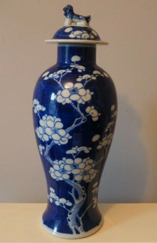 Fine Old Antique Chinese Asian Art Blue & White Prunus Pattern Kangxi Vase & Lid