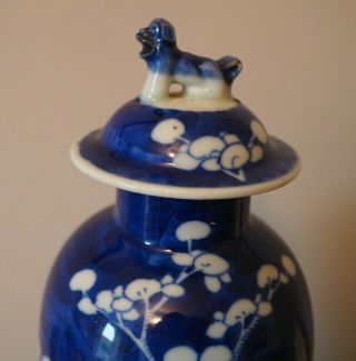 FINE OLD ANTIQUE CHINESE ASIAN ART BLUE & WHITE PRUNUS PATTERN KANGXI VASE & LID 2