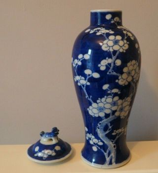 FINE OLD ANTIQUE CHINESE ASIAN ART BLUE & WHITE PRUNUS PATTERN KANGXI VASE & LID 3
