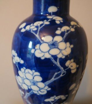 FINE OLD ANTIQUE CHINESE ASIAN ART BLUE & WHITE PRUNUS PATTERN KANGXI VASE & LID 4