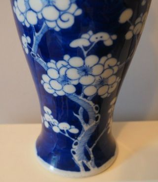 FINE OLD ANTIQUE CHINESE ASIAN ART BLUE & WHITE PRUNUS PATTERN KANGXI VASE & LID 6