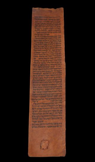 TORAH SCROLL BIBLE VELLUM MANUSCRIPT FRAGMENT 200 YRS YEMEN Leviticus 25:3 - 26:3 2