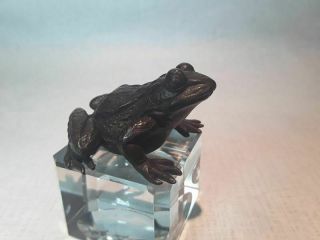 Japanese Meiji Bronze frog Okimono 2