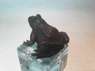 Japanese Meiji Bronze frog Okimono 4