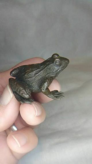 Japanese Meiji Bronze frog Okimono 7