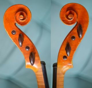 Old Violin,  Italian label Enzo BERTELLI 1953,  from an estate 10