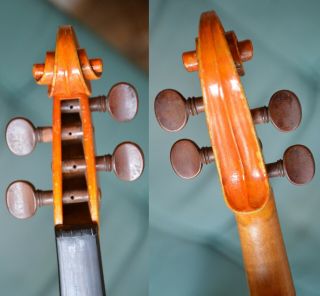 Old Violin,  Italian label Enzo BERTELLI 1953,  from an estate 11