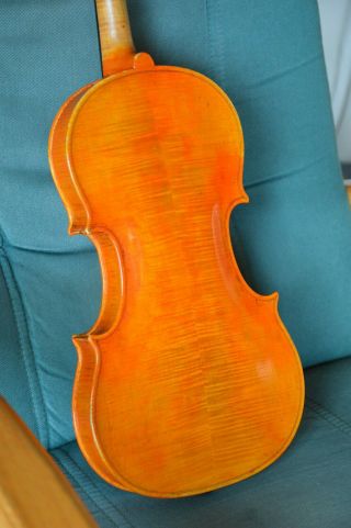 Old Violin,  Italian label Enzo BERTELLI 1953,  from an estate 4