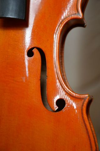 Old Violin,  Italian label Enzo BERTELLI 1953,  from an estate 5