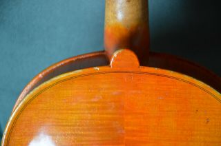 Old Violin,  Italian label Enzo BERTELLI 1953,  from an estate 6