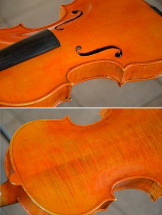 Old Violin,  Italian label Enzo BERTELLI 1953,  from an estate 8