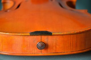 Old Violin,  Italian label Enzo BERTELLI 1953,  from an estate 9