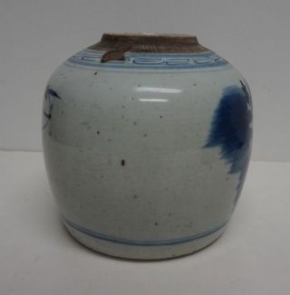 Antique 19th Century Chinese Ginger Jar Blue White Chrysanthemum 8 