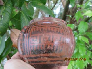 Ancient Jalisco West Mexico 200BCE - 300AD POLY CHROME Ceremonial Jar 2