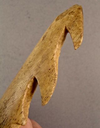 500 - 5000,  yrs Artifact Inuit Eskimo Native Caribou Bone HARPOON SPEAR POINT 12 3