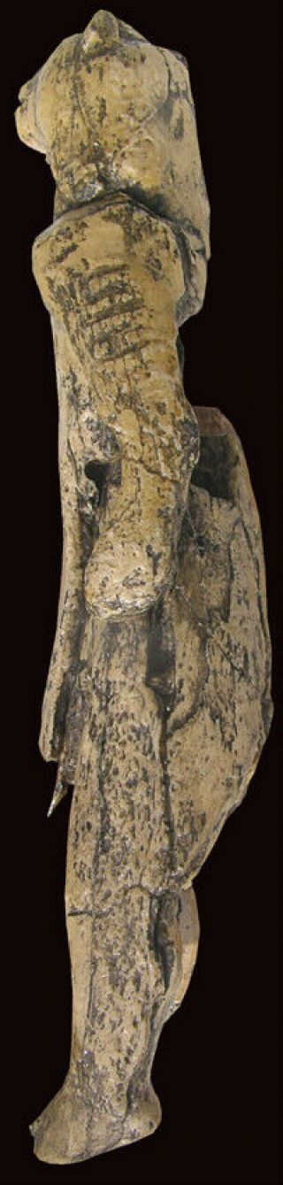 Lion Man / Löwenmensch Paleolithic figurine - cast of resin 4