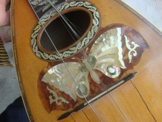 Antique Napoli Italy Mandolin Butterfly Seashell Ornament 10