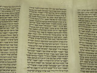 SMALL TORAH SCROLL BIBLE MANUSCRIPT FRAGMENT 200 YRS EUROPE Genesis 1:1 - 33:17 6