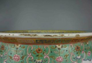 Chinese antique porcelain famille verte Flower and Bird Patterns Cylinder 5