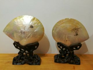Large 11.  5 " Antique Chinese Mother Of Pearl Shells On Carved Hardwood Stands