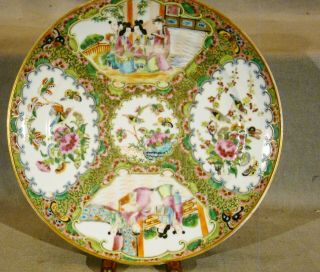 Superior Quality Painting Chinese Export Rose Medallion Plate 9 5/8 " 19th C