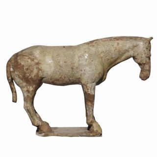 Tang Dynasty Glazes Ceramic Horse,  7th - 10th Century