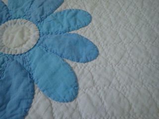 Finely Quilted Vintage 50s Blue & White Applique DAISY Quilt & Pillow Cover 11