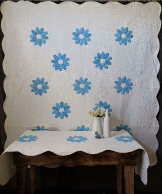 Finely Quilted Vintage 50s Blue & White Applique Daisy Quilt & Pillow Cover