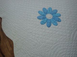 Finely Quilted Vintage 50s Blue & White Applique DAISY Quilt & Pillow Cover 5