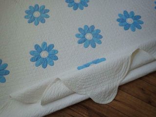 Finely Quilted Vintage 50s Blue & White Applique DAISY Quilt & Pillow Cover 6