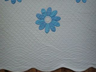 Finely Quilted Vintage 50s Blue & White Applique DAISY Quilt & Pillow Cover 7