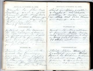 1866 Handwritten Diary Amos Brooks Olean NY Big Main St Fire Raft Trips on River 4