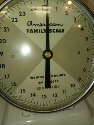 Vintage Antique American Family Farm Kitchen Scale 25 LB 5