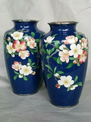 Pair Antique Ginbari Japanese Floral Cloisonne Vases C.  1920 Blue Base,  Flowers