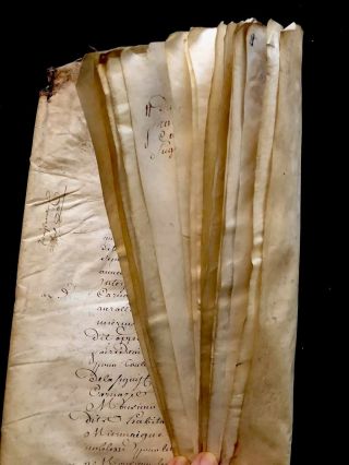 Antique Signed Parchment 1741 40 Pages