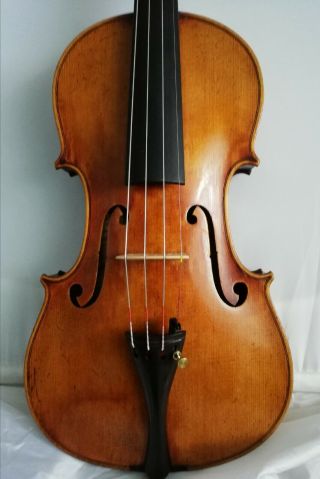 Very Old Violin For Professional Players