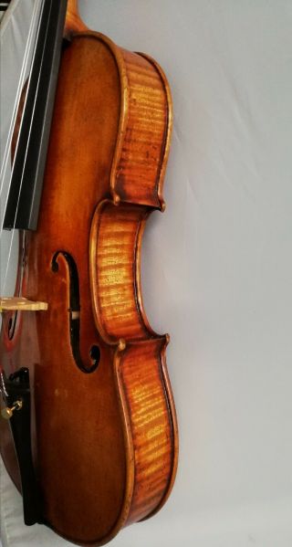 Very old violin for professional players 3