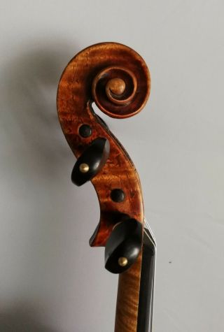 Very old violin for professional players 9