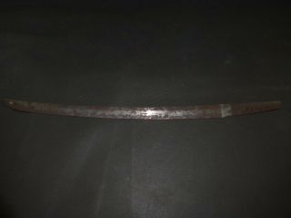 Wakizashi (sword) Only The Blade : Edo : 23.  1 × 18.  1 " 460g