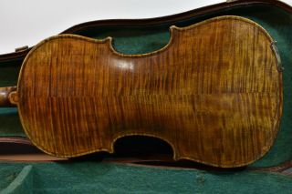 A fine old violin labeled Matteo Goffriller 1732,  sound. 5