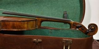 A fine old violin labeled Matteo Goffriller 1732,  sound. 7