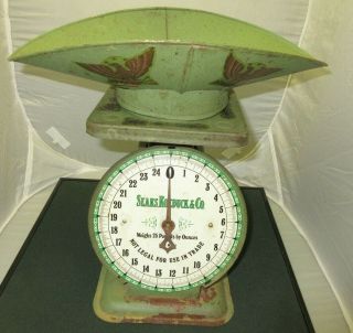 Antique 1906 Sears,  Roebuck & Co.  Weighs Up To 25 Lbs In Ozs Weight Scales Wi/ Pan