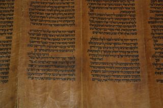 ANCIENT VELLUM TORAH BIBLE MANUSCRIPT Numbers SCROLL JUDAICA 400 YRS YEMEN 6